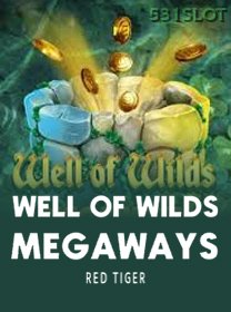 Well Of Wilds Megaways game cover